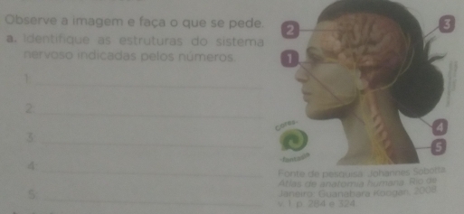 Observe a imagem e faça o que se pede. 
a. Identifique as estruturas do sistema 
nervoso indicadas pelos números. 
1._ 
_2 
_3 
_4 
_ 
5 
Janeiro: Guanabara Koogan, 2008 
v. 1 p. 284 e 324