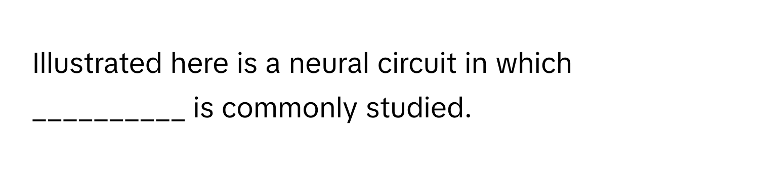 Illustrated here is a neural circuit in which __________ is commonly studied.