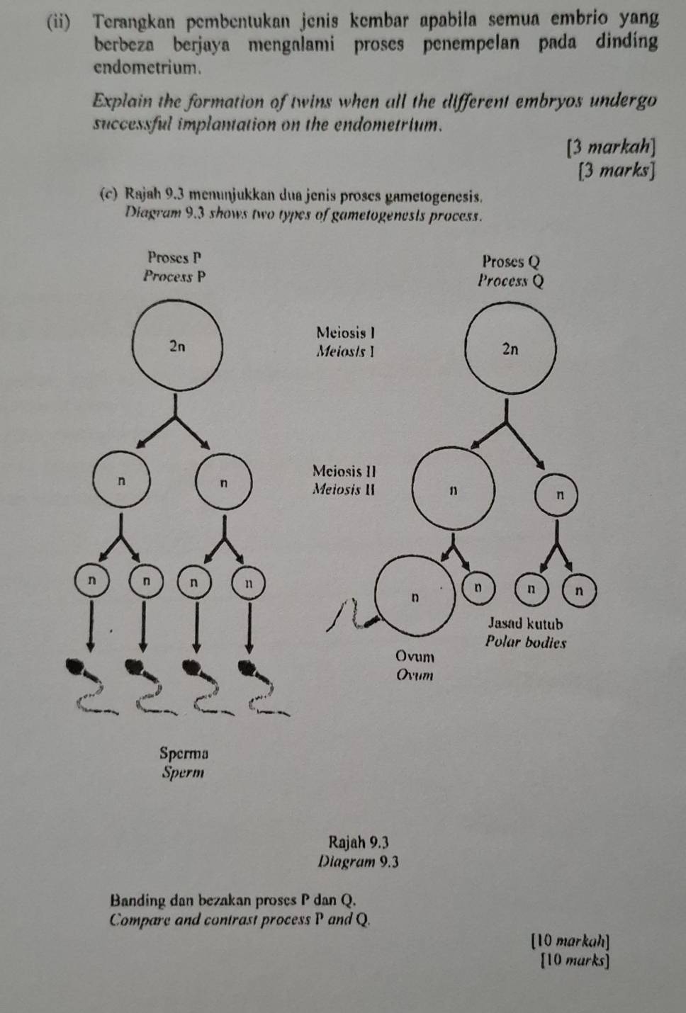 (ii) Terangkan pembentukan jenis kembar apabila semua embrio yang 
berbeza berjaya mengalami proses penempelan pada dinding 
endometrium. 
Explain the formation of twins when all the different embryos undergo 
successful implantation on the endometrium. 
[3 markah] 
[3 marks] 
(c) Rajah 9.3 menunjukkan dua jenis proses gametogenesis. 
Diagram 9.3 shows two types of gametogenesis process. 
Rajah 9.3 
Diagram 9.3 
Banding dan bezakan proses P dan Q. 
Compare and contrast process P and Q. 
[10 markah] 
[10 marks]