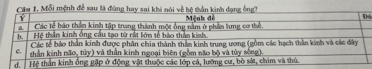 Mỗi mệnh đề sau là đúng hay sai khi nói về hệ thần kinh dạng ống? 
ú