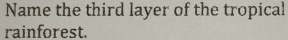Name the third layer of the tropical 
rainforest.