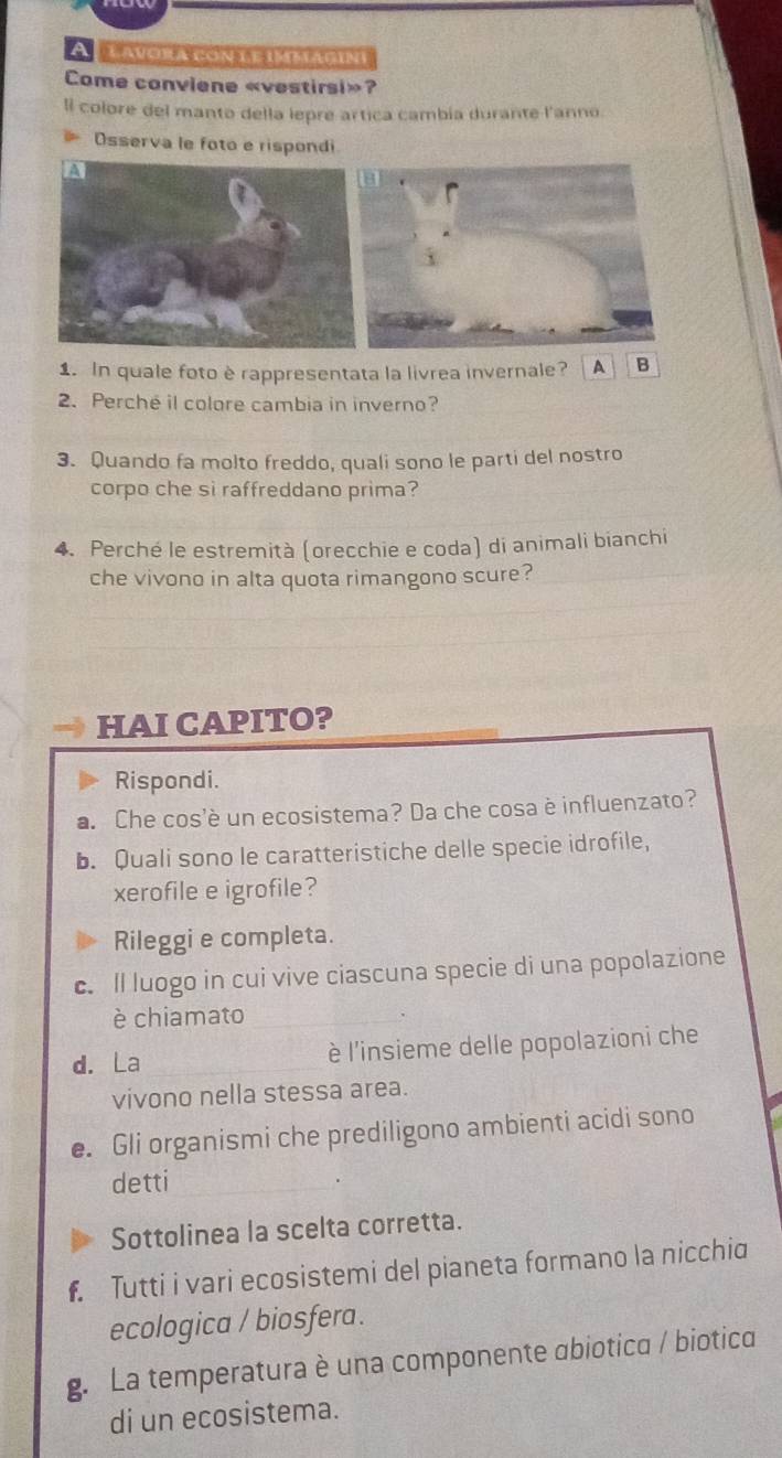 A Lavora con le imbagini 
Come conviene «vestirsi»? 
Il colore del manto della lepre artica cambía durante l'anno. 
Osserva le foto e rispondi 
1. In quale foto è rappresentata la livrea invernale? A B 
2. Perche il colore cambia in inverno? 
3. Quando fa molto freddo, quali sono le parti del nostro 
corpo che si raffreddano prima? 
4. Perché le estremità (orecchie e coda) di animali bianchi 
che vivono in alta quota rimangono scure? 
HAI CAPITO? 
Rispondi. 
a. Che cos'è un ecosistema? Da che cosa è influenzato? 
b. Quali sono le caratteristiche delle specie idrofile, 
xerofile e igrofile? 
Rileggi e completa. 
c. ll luogo in cui vive ciascuna specie di una popolazione 
è chiamato_ 
. 
d. La _è l'insieme delle popolazioni che 
vivono nella stessa area. 
e. Gli organismi che prediligono ambienti acidi sono 
detti_ 
. 
Sottolinea la scelta corretta. 
f. Tutti i vari ecosistemi del pianeta formano la nicchia 
ecologica / biosfera. 
g. La temperatura è una componente abiotica / biotica 
di un ecosistema.