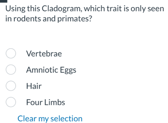 Using this Cladogram, which trait is only seen
in rodents and primates?
Vertebrae
Amniotic Eggs
Hair
Four Limbs
Clear my selection