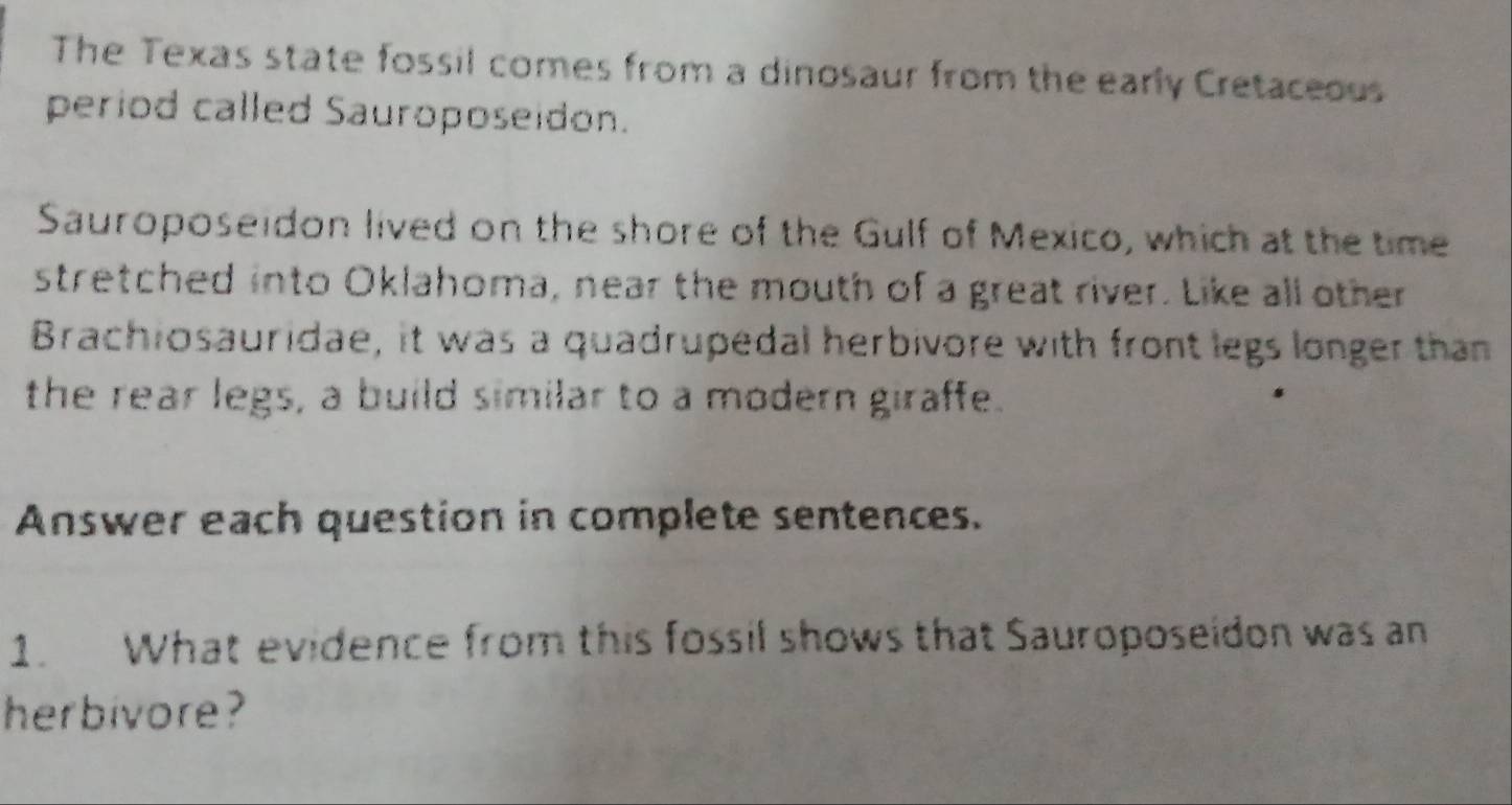 The Texas state fossil comes from a dinosaur from the early Cretaceous 
period called Sauroposeidon. 
Sauroposeidon lived on the shore of the Gulf of Mexico, which at the time 
stretched into Oklahoma, near the mouth of a great river. Like all other 
Brachiosauridae, it was a quadrupedal herbivore with front legs longer than 
the rear legs, a build similar to a modern giraffe. 
Answer each question in complete sentences. 
1. What evidence from this fossil shows that Sauroposeidon was an 
herbivore ?