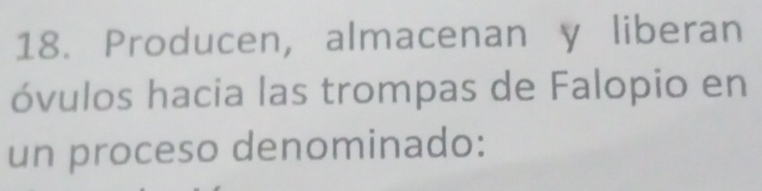 Producen, almacenan y liberan 
óvulos hacia las trompas de Falopio en 
un proceso denominado: