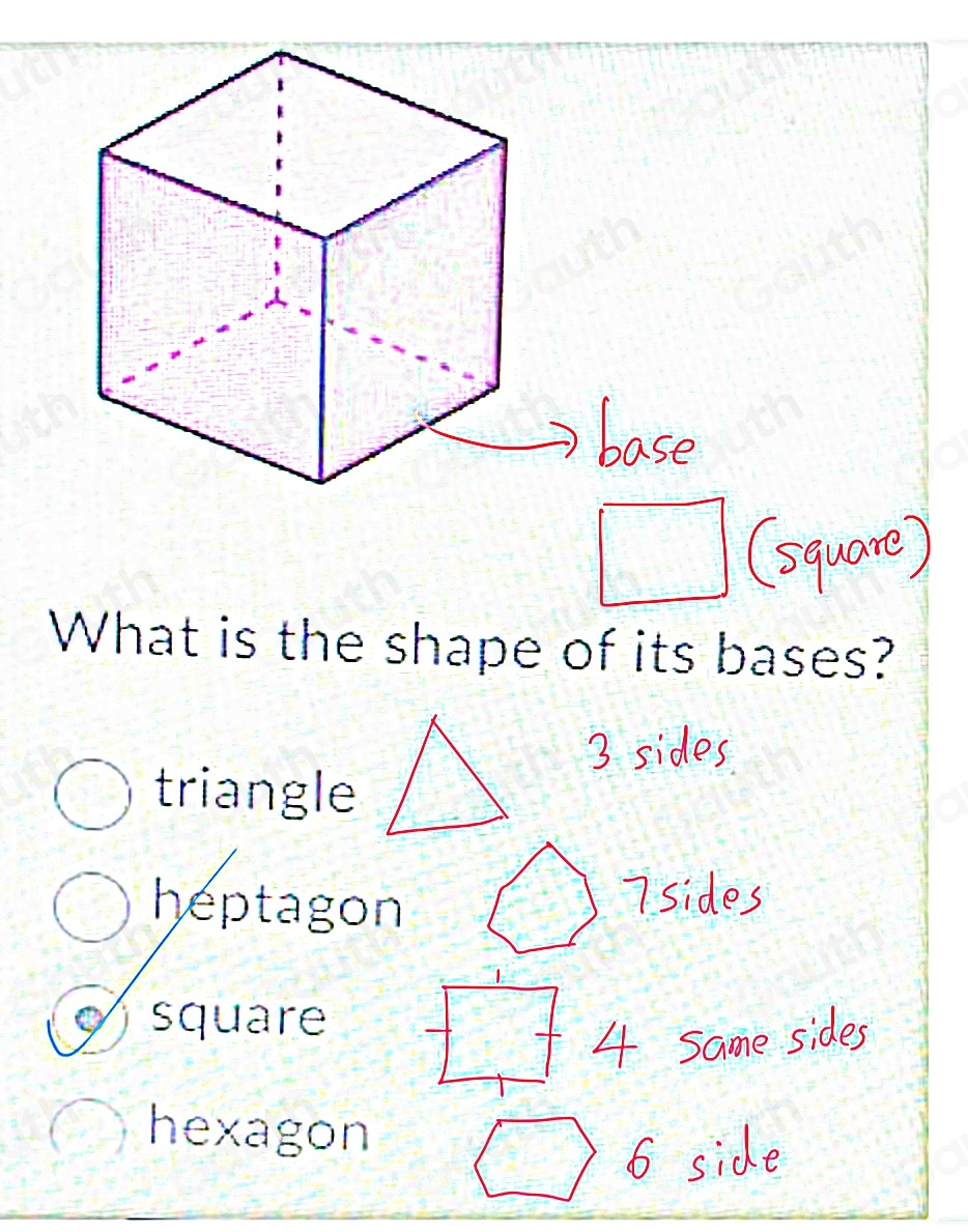 Solved: What is the shape of its bases? triangle heptagon square ...