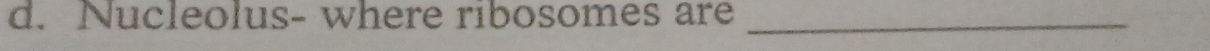 Nucleolus- where ribosomes are_