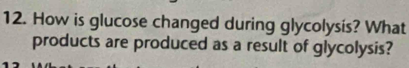 How is glucose changed during glycolysis? What 
products are produced as a result of glycolysis?
