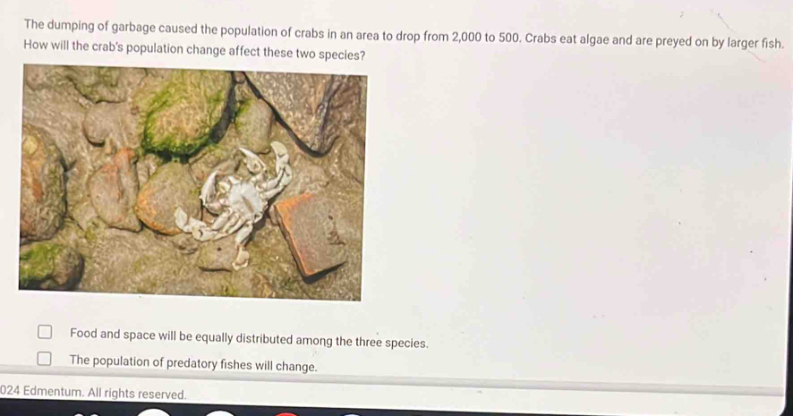 The dumping of garbage caused the population of crabs in an area to drop from 2,000 to 500. Crabs eat algae and are preyed on by larger fish.
How will the crab's population change affect these two species?
Food and space will be equally distributed among the three species.
The population of predatory fishes will change.
024 Edmentum. All rights reserved.