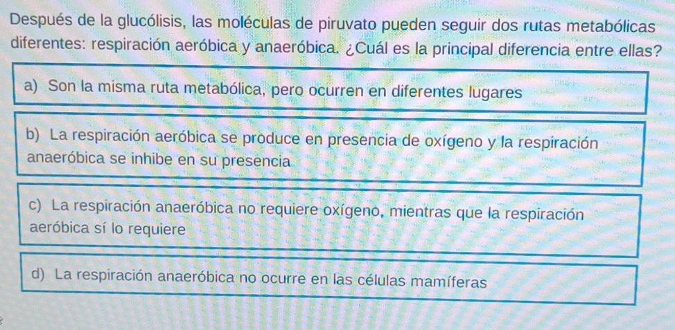 Después de la glucólisis, las moléculas de piruvato pueden seguir dos rutas metabólicas
diferentes: respiración aeróbica y anaeróbica. ¿Cuál es la principal diferencia entre ellas?
a) Son la misma ruta metabólica, pero ocurren en diferentes lugares
b) La respiración aeróbica se produce en presencia de oxígeno y la respiración
anaeróbica se inhibe en su presencia
c) La respiración anaeróbica no requiere oxígeno, mientras que la respiración
aeróbica sí lo requiere
d) La respiración anaeróbica no ocurre en las células mamíferas