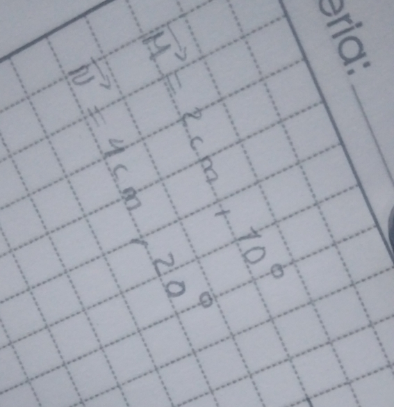 vector M=2cm+10^0
vector N=4cm, 20°