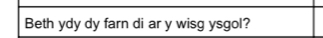 Beth ydy dy farn di ar y wisg ysgol?