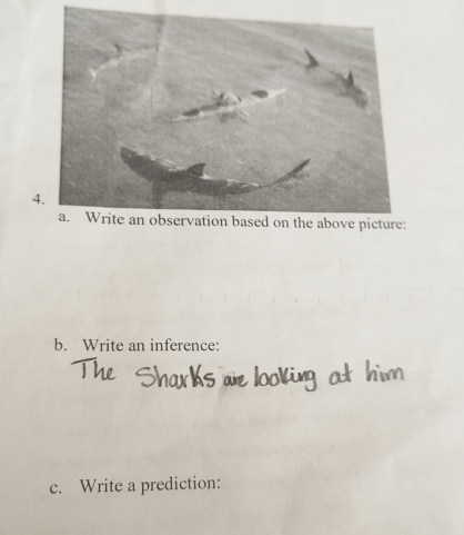 Write an inference: 
c. Write a prediction: