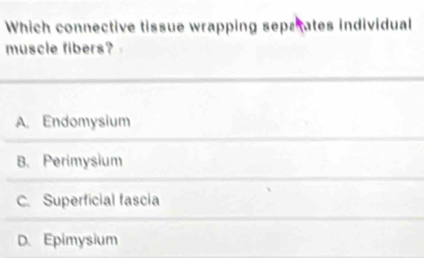 Which connective tissue wrapping sepatates individual
muscle fibers?
A. Endomysium
B. Perimysium
C. Superficial fascia
D. Epimysium