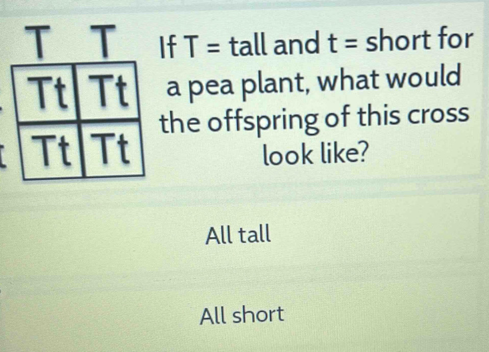 If T= ta 11 and t= st 10 rt for
a pea plant, what would
he offspring of this cross
look like?
All tall
All short