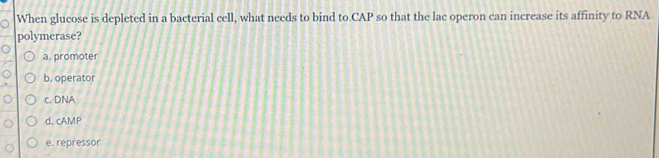 When glucose is depleted in a bacterial cell, what needs to bind to CAP so that the lac operon can increase its affinity to RNA
polymerase?
a. promoter
b. operator
c. DNA
d. cAMP
e. repressor