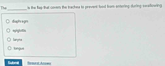 The_ is the flap that covers the trachea to prevent food from entering during swallowing
diaphragm
epiglottis
larynx
tongue
Submit Request Answer