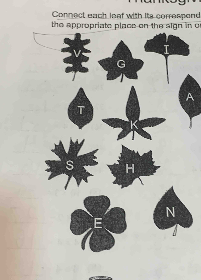 Connect each leaf with its correspond 
the appropriate place on the sign in or 
A