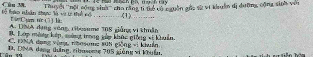 mâ ti D. Te bào mạch gố, mạch ray
Cầu 38. ''Thuyết ''nội cộng sinh'' cho rằng tí thể có nguồn gổc từ vì khuẩn đị đưỡng cộng sinh với
tể bào nhân thực là vì tị thể có ........ (1)_
Từ Cụm từ (1) là:
A. DNA đạng vòng, ribosome 70S giống vi khuẩn.
B. Lớp màng kếp, màng trong gắp khúc giống vi khuẩn.
C. DNA dạng vòng, ribosome 80S giống vi khuân..
D. DNA dạng tháng, ribosome 70S giống vi khuẩn.
Cân 39 ự tiền hóa