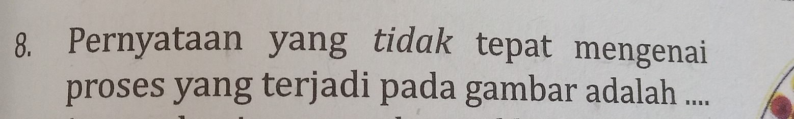 Pernyataan yang tidak tepat mengenai 
proses yang terjadi pada gambar adalah ....