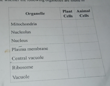 onowig organenes are found i