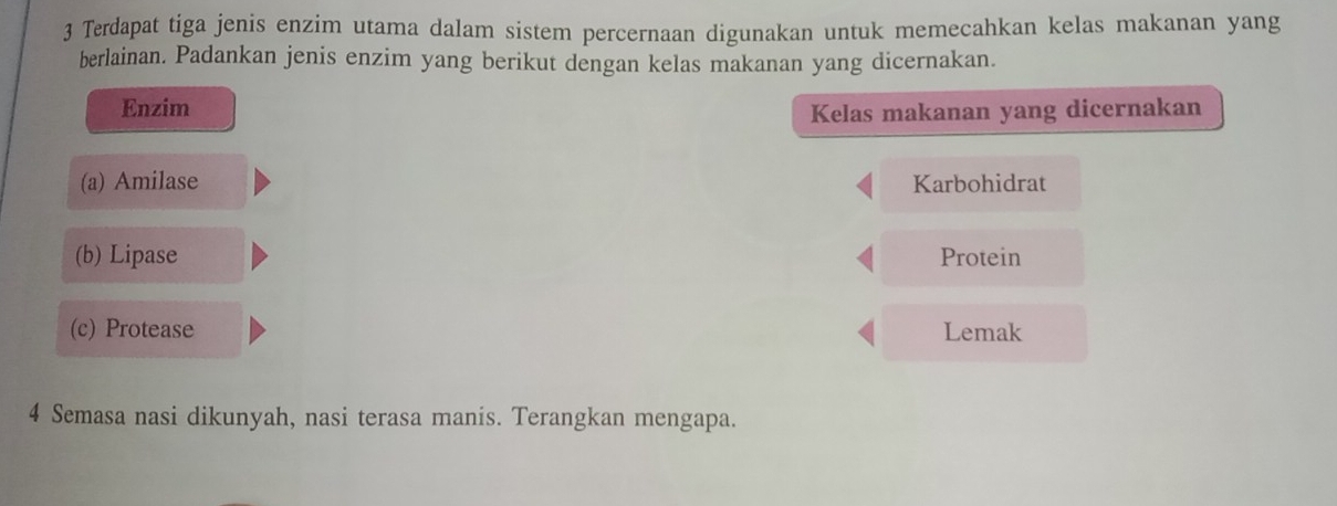 Terdapat tiga jenis enzim utama dalam sistem percernaan digunakan untuk memecahkan kelas makanan yang 
berlainan. Padankan jenis enzim yang berikut dengan kelas makanan yang dicernakan. 
Enzim 
Kelas makanan yang dicernakan 
(a) Amilase Karbohidrat 
(b) Lipase Protein 
(c) Protease Lemak
4 Semasa nasi dikunyah, nasi terasa manis. Terangkan mengapa.