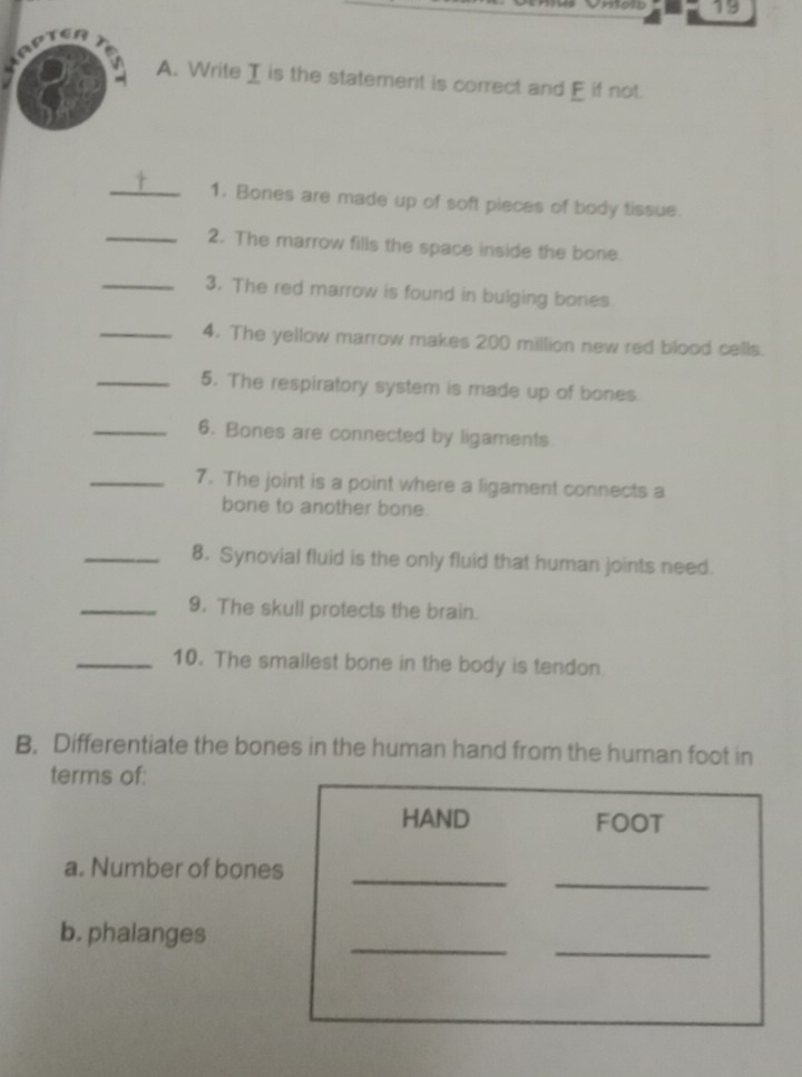 Hapton 
A. Write I is the statement is correct and E if not. 
_1. Bones are made up of soft pieces of body tissue. 
_2. The marrow fills the space inside the bone. 
_3. The red marrow is found in bulging bones 
_4. The yellow marrow makes 200 million new red blood cells. 
_5. The respiratory system is made up of bones. 
_6. Bones are connected by ligaments 
_7. The joint is a point where a ligament connects a 
bone to another bone. 
_8. Synovial fluid is the only fluid that human joints need. 
_9. The skull protects the brain. 
_10. The smallest bone in the body is tendon 
B, Differentiate the bones in the human hand from the human foot in 
terms of: 
HAND FOOT 
_ 
_ 
a. Number of bones 
_ 
_ 
b. phalanges