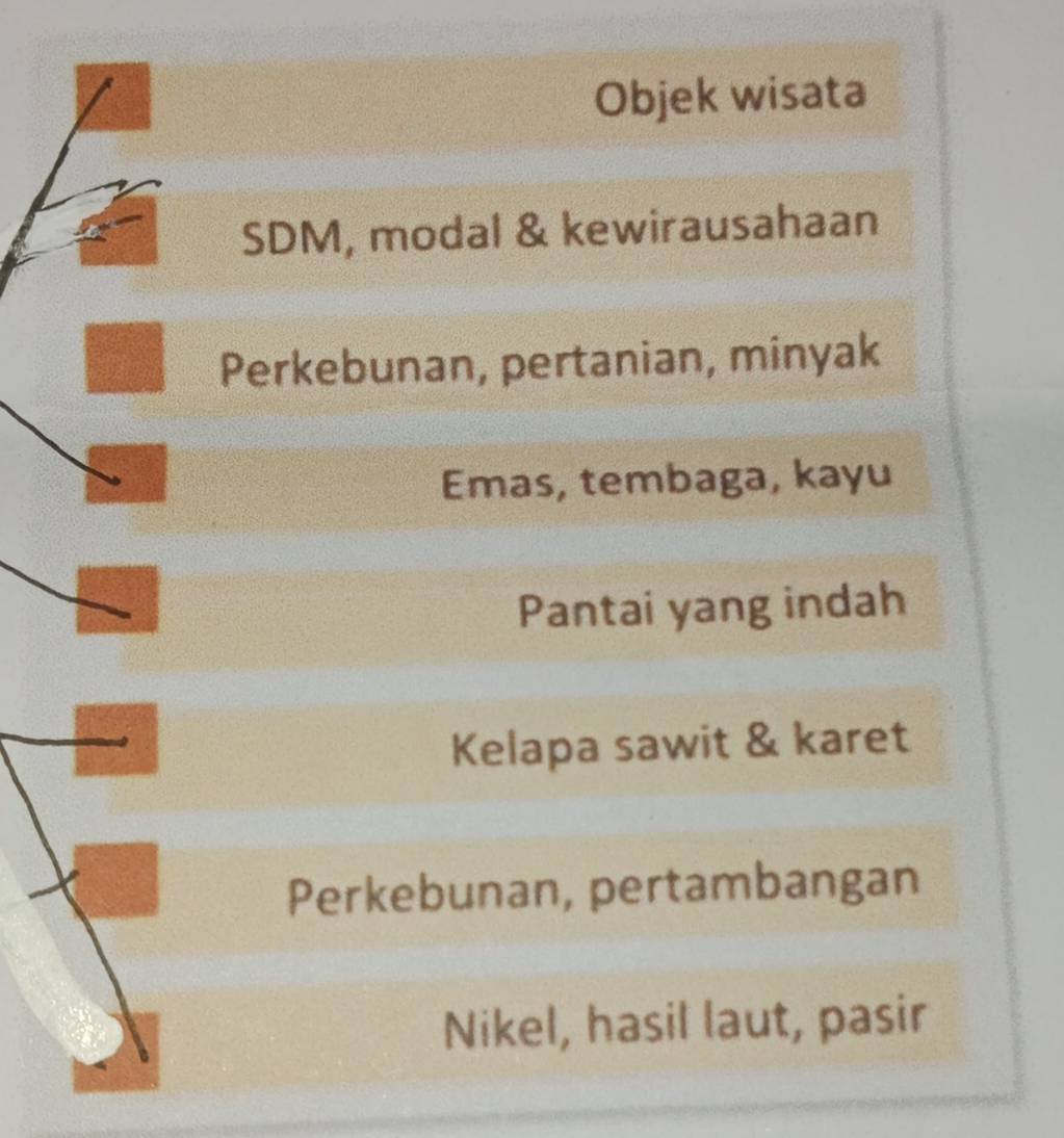 Objek wisata
SDM, modal & kewirausahaan
Perkebunan, pertanian, minyak
Emas, tembaga, kayu
Pantai yang indah
Kelapa sawit & karet
Perkebunan, pertambangan
Nikel, hasil laut, pasir