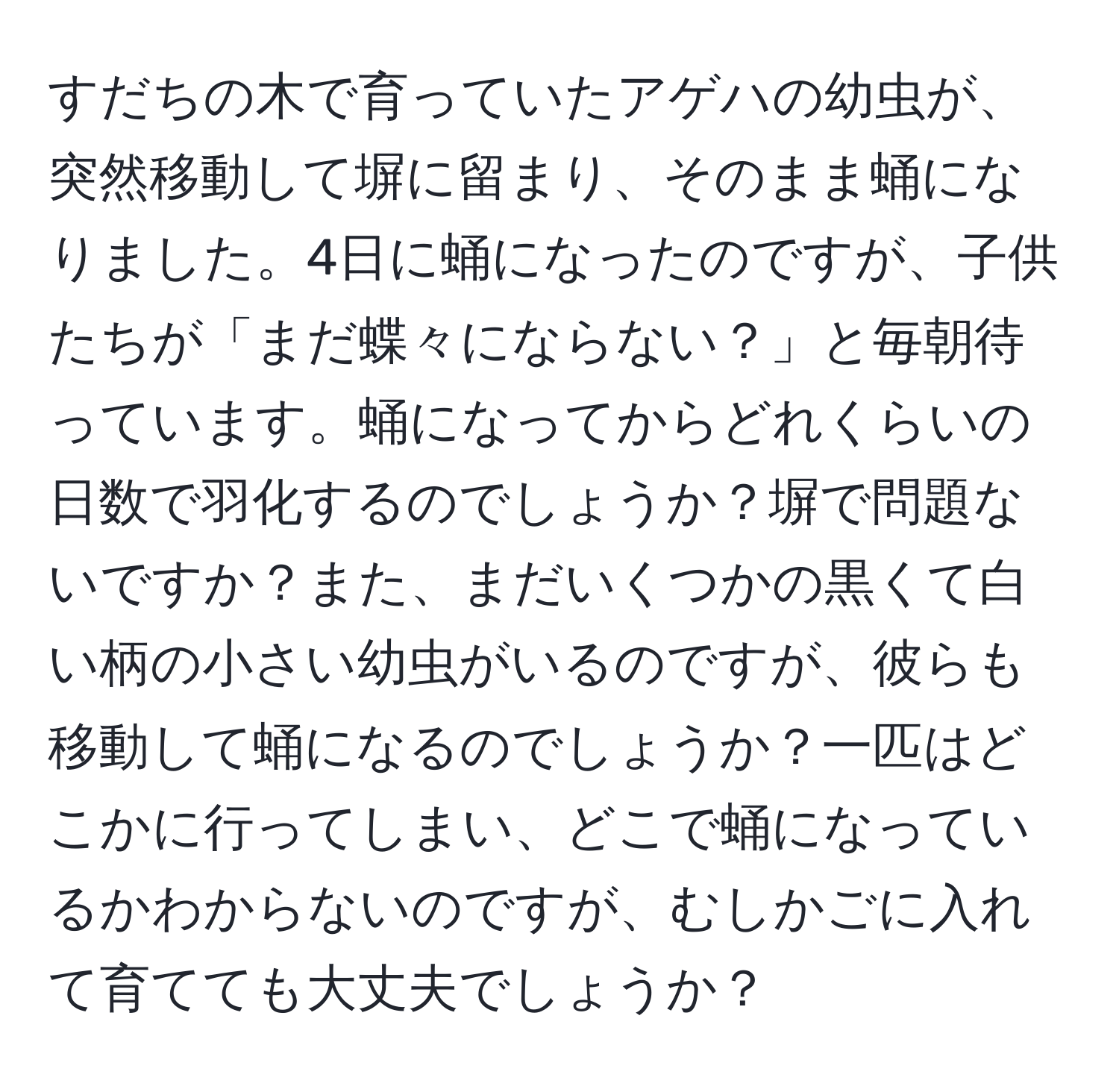 すだちの木で育っていたアゲハの幼虫が、突然移動して塀に留まり、そのまま蛹になりました。4日に蛹になったのですが、子供たちが「まだ蝶々にならない？」と毎朝待っています。蛹になってからどれくらいの日数で羽化するのでしょうか？塀で問題ないですか？また、まだいくつかの黒くて白い柄の小さい幼虫がいるのですが、彼らも移動して蛹になるのでしょうか？一匹はどこかに行ってしまい、どこで蛹になっているかわからないのですが、むしかごに入れて育てても大丈夫でしょうか？