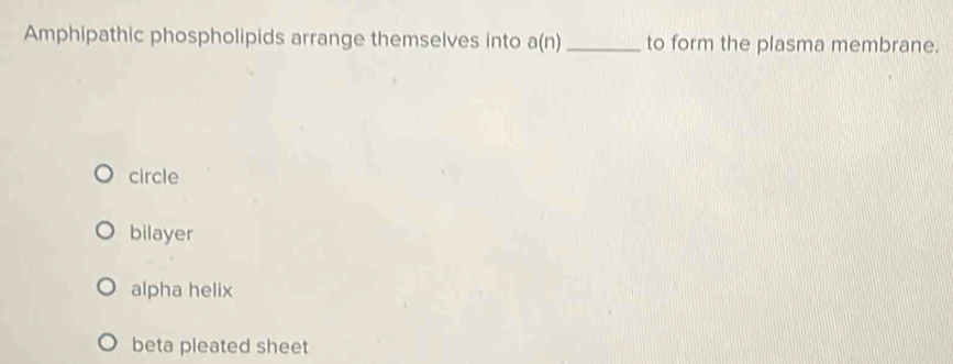 Amphipathic phospholipids arrange themselves into a(n) _ to form the plasma membrane.
circle
bilayer
alpha helix
beta pleated sheet