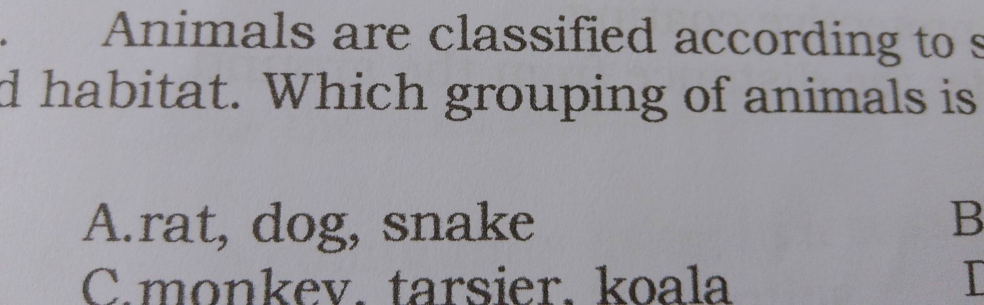 Animals are classified according to s
d habitat. Which grouping of animals is
A.rat, dog, snake
B
C.monkev. tarsier. koala
I