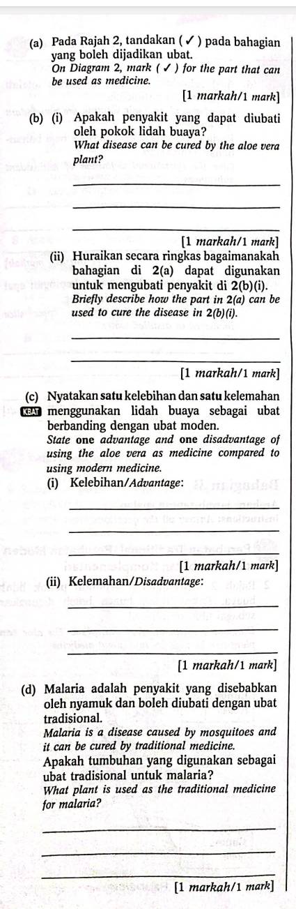 Pada Rajah 2, tandakan ( ✓ ) pada bahagian 
yang boleh dijadikan ubat. 
On Diagram 2, mark ( ✔ ) for the part that can 
be used as medicine. 
[1 markah/1 mark] 
(b) (i) Apakah penyakit yang dapat diubati 
oleh pokok lidah buaya? 
What disease can be cured by the aloe vera 
plant? 
_ 
_ 
_ 
[1 markah/1 mark] 
(ii) Huraikan secara ringkas bagaimanakah 
bahagian di 2(a) dapat digunakan 
untuk mengubati penyakit di 2(b)(i)
Briefly describe how the part in 2(a) can be 
used to cure the disease in 2(b)(i). 
_ 
_ 
[1 markah/1 mark] 
(c) Nyatakan satu kelebihan dan satu kelemahan 
n menggunakan lidah buaya sebagai ubat 
berbanding dengan ubat moden. 
State one advantage and one disadvantage of 
using the aloe vera as medicine compared to 
using modern medicine. 
(i) Kelebihan/Advantage: 
_ 
_ 
_ 
[1 markah/1 mark] 
(ii) Kelemahan/Disadvantage: 
_ 
_ 
_ 
[1 markah/1 mark] 
(d) Malaria adalah penyakit yang disebabkan 
oleh nyamuk dan boleh diubati dengan ubat 
tradisional. 
Malaria is a disease caused by mosquitoes and 
it can be cured by traditional medicine. 
Apakah tumbuhan yang digunakan sebagai 
ubat tradisional untuk malaria? 
What plant is used as the traditional medicine 
for malaria? 
_ 
_ 
_ 
[1 markah/1 mark]