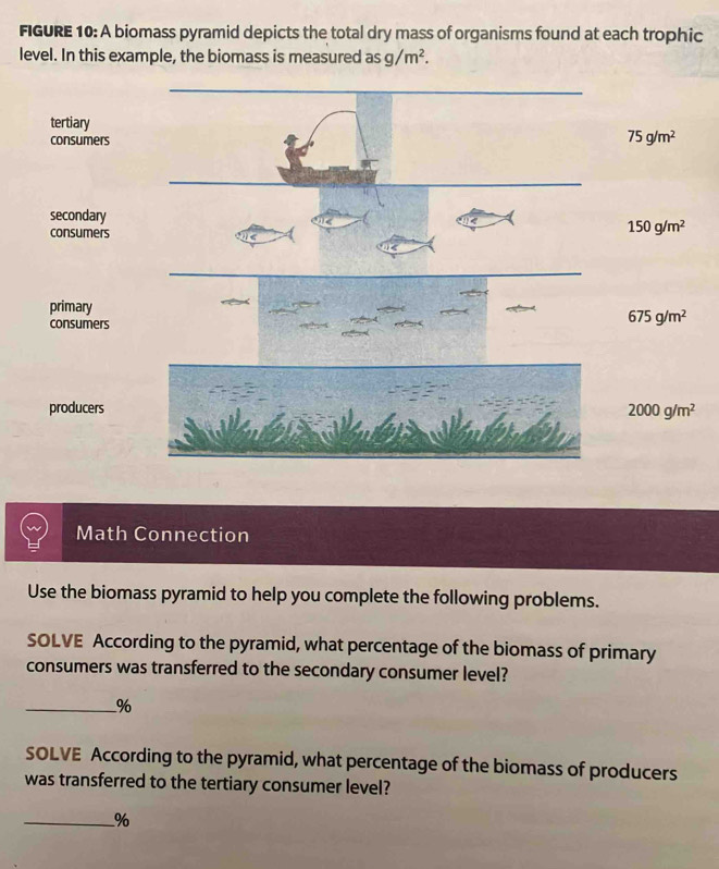 FIGURE 10: A biomass pyramid depicts the total dry mass of organisms found at each trophic
level. In this example, the biomass is measured asg/m^2. 
_
_
tertiary
consumers
75g/m^2
secondary
consumers
150g/m^2
primary
consumers
675g/m^2
producers 2000g/m^2
Math Connection
Use the biomass pyramid to help you complete the following problems.
SOLVE According to the pyramid, what percentage of the biomass of primary
consumers was transferred to the secondary consumer level?
_%
SOLVE According to the pyramid, what percentage of the biomass of producers
was transferred to the tertiary consumer level?
_%