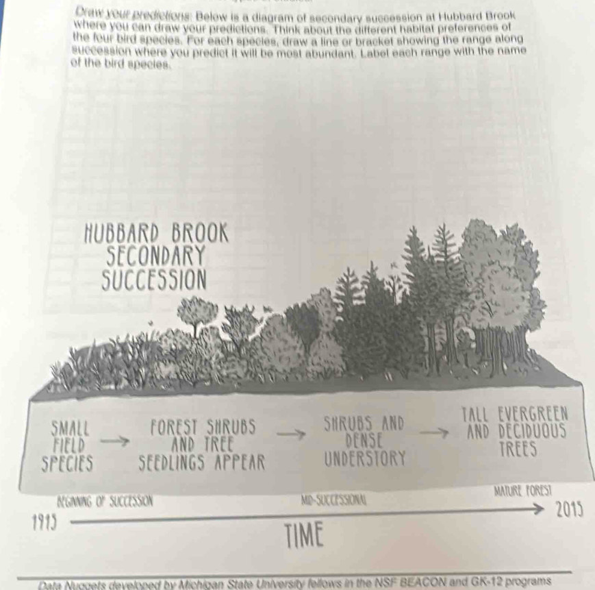 Draw your predictions: Below is a diagram of secondary succession at Hubbard Brook 
where you can draw your predictions. Think about the different habitat preferences of 
the four bird species. For each species, draw a line or bracket showing the range along 
succession where you predict it will be most abundant. Label each range with the name 
of the bird species. 
HUBBARD BROOK 
SECoNDARy 
SUCCESSION 
SMALL FOREST SHRUBS SHRUBS AND TALL EVERGREEN 
field and tree Dense 
and deciduous 
speCies SeeDLings AppeAr understory 
Trees 
MATURE POREST 
BEGINNING OF SUCCESSION MID-SUCCESSIONAL 
2015 
1913 
tIme 
Data Nuogets developed by Michioan State University fellows in the NSF BEACON and GK-12 programs