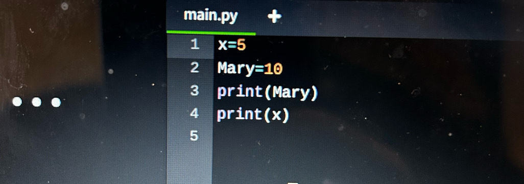 main.py + 
1 x=5
2 Mary y=10
3 print(Mary) 
4 print(x) 
5