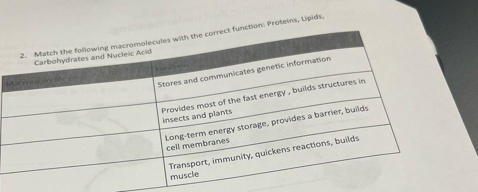 on: Proteins, Lipids, 
M