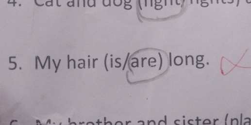 My hair (is/are) long. 
s a s is ter (n la