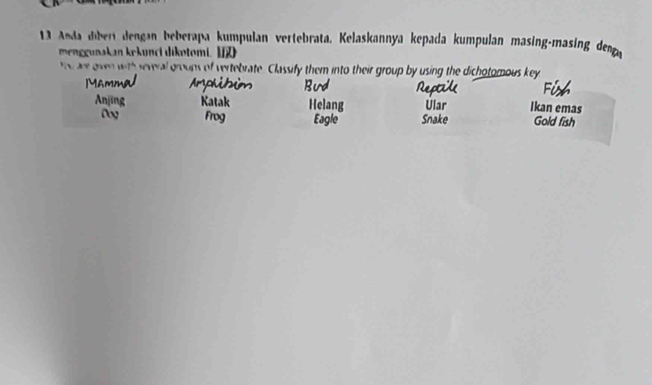 Anda dibert dengan beberapa kumpulan vertebrata, Kelaskannya kepada kumpulan masing-masing deng 
mngunakan kekunci dikotomi. 
u a oven with several groups of vertebrate. Classify them into their group by using the dichotomous key 
Katak H Ular Ikan emas 
Frog Snake Gold fish 
agle