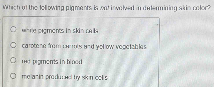 Which of the following pigments is not involved in determining skin color?
white pigments in skin cells
carotene from carrots and yellow vegetables
red pigments in blood
melanin produced by skin cells