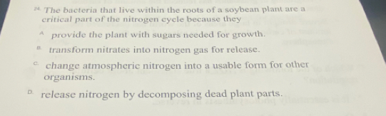 The bacteria that live within the roots of a soybean plant are a
critical part of the nitrogen cycle because they
^ provide the plant with sugars needed for growth.
* transform nitrates into nitrogen gas for release.
° change atmospheric nitrogen into a usable form for other
organisms.
* release nitrogen by decomposing dead plant parts.