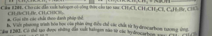 H_2CH_3+N
Câu 1201. Cho các dẫn xuất halogen có công thức cầu tạo sau: CH_3Cl, CH_3CH_2Cl, C_6H_5Br, CHCl
CH_2BrCH_2Br, CH_3CHICH_3. 
a. Gọi tên các chất theo danh pháp thế. 
B. Viết phương trình hỏa học của phản ứng điều chế các chất từ hydrocarbon tương ứng 
Câu 1202. Có thể tạo được những dẫn xuất halogen nào từ các hydrocarbon san a