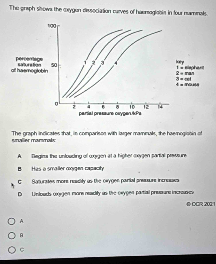 The graph shows the oxygen dissociation curves of haemoglobin in four mammals.
The graph indicates that, in comparison with larger mammals, the haemoglobin of
smaller mammals:
A Begins the unloading of oxygen at a higher oxygen partial pressure
B Has a smaller oxygen capacity
C Saturates more readily as the oxygen partial pressure increases
D Unloads oxygen more readily as the oxygen partial pressure increases
© OCR 2021
A
B
C