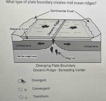 What type of plate boundary creates mid ocean ridges?
Diverging Plate Boundary
Oceanic Ridge - Spreading Center
Divergent
b Convergent
C Transform