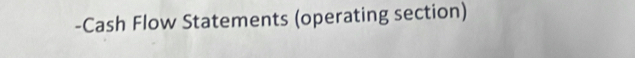 Cash Flow Statements (operating section)