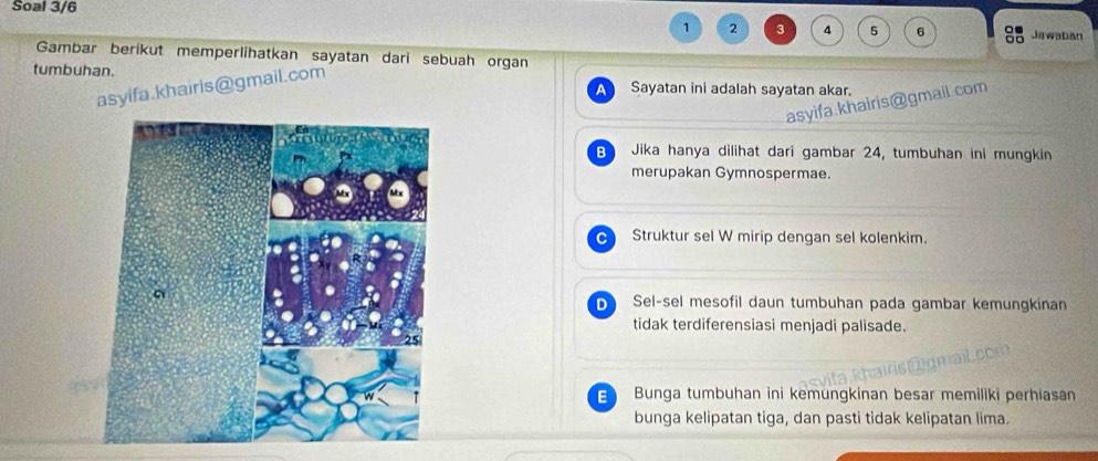 Soal 3/6
Gambar berikut memperlihatkan sayatan dari sebuah organ
asyifa.khairis@gmail.com 1 2 3 5 6 Jawaban
tumbuhan. Sayatan ini adalah sayatan akar.
A
asyifa.khairis@gmall.com
B Jika hanya dilihat dari gambar 24, tumbuhan ini mungkin
merupakan Gymnospermae.
C Struktur sel W mirip dengan sel kolenkim.
D Sel-sel mesofil daun tumbuhan pada gambar kemungkinan
tidak terdiferensiasi menjadi palisade.
E Bunga tumbuhan ini kemungkinan besar memiliki perhiasan
bunga kelipatan tiga, dan pasti tidak kelipatan lima.