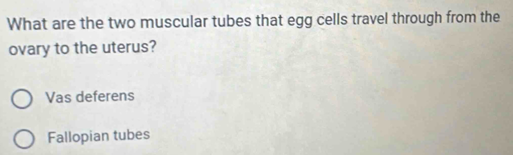 What are the two muscular tubes that egg cells travel through from the
ovary to the uterus?
Vas deferens
Fallopian tubes