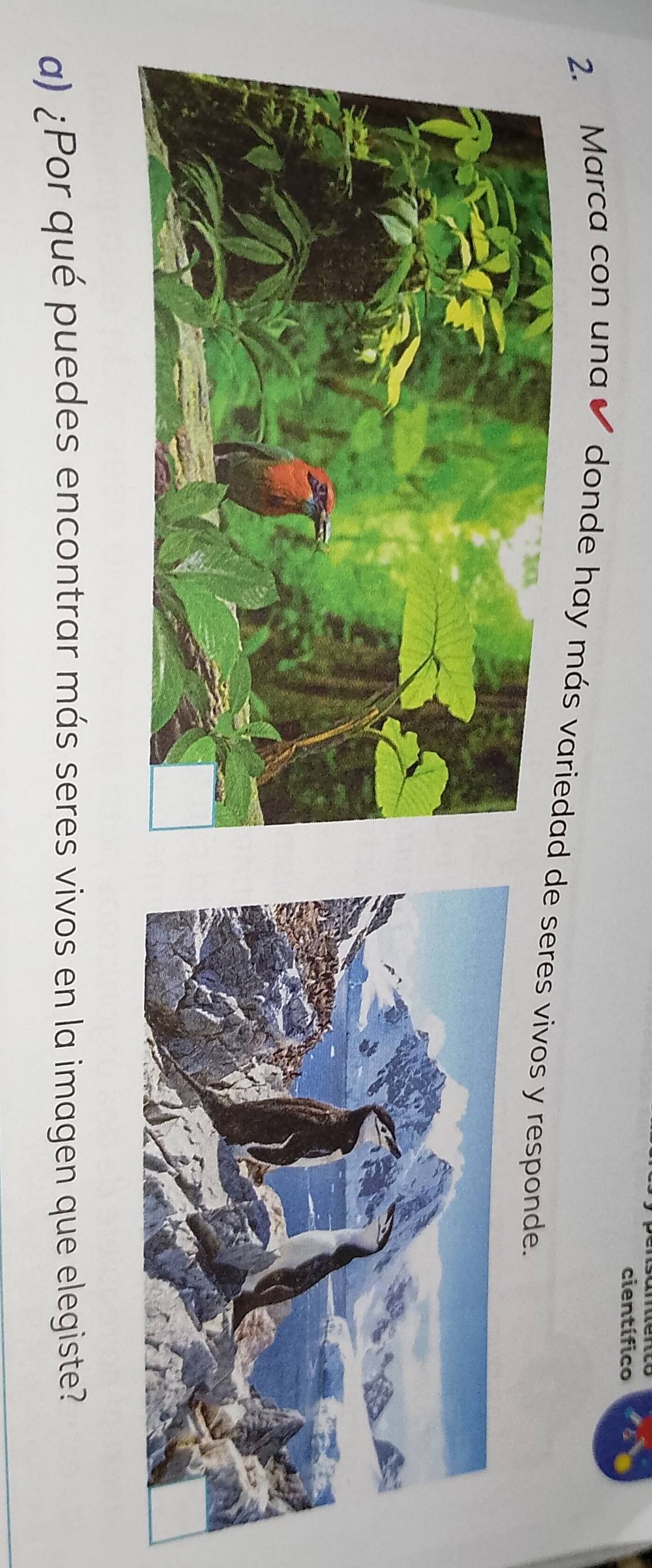 científico 
2. Marca con una donde hay más vade seres vivos y responde. 
a) ¿Por qué puedes encontrar más seres vivos en la imagen que elegiste?