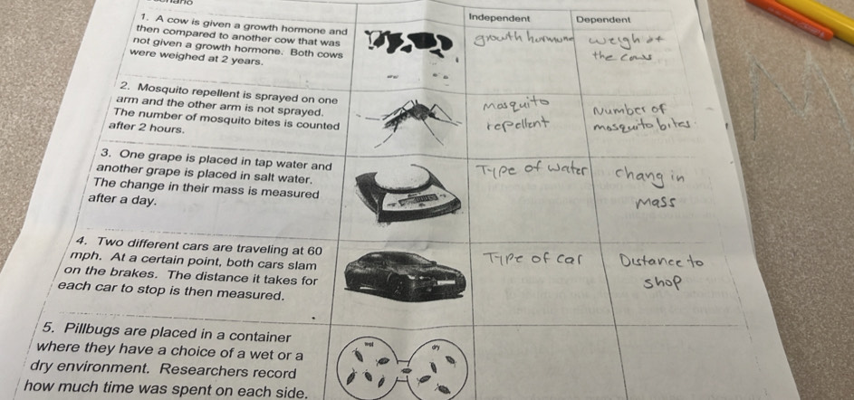 Independent Dependent 
1. A cow is given a growth hormone and 
then compared to another cow that was 
not given a growth hormone. Both cows 
were weighed at 2 years. 
2. Mosquito repellent is sprayed on one 
arm and the other arm is not sprayed. 
The number of mosquito bites is counted 
after 2 hours. 
3. One grape is placed in tap water and 
another grape is placed in salt water. 
The change in their mass is measured 
after a day. 
4. Two different cars are traveling at 60
mph. At a certain point, both cars slam 
on the brakes. The distance it takes for 
each car to stop is then measured. 
5. Pillbugs are placed in a container 
where they have a choice of a wet or a 
dry environment. Researchers record 
how much time was spent on each side.