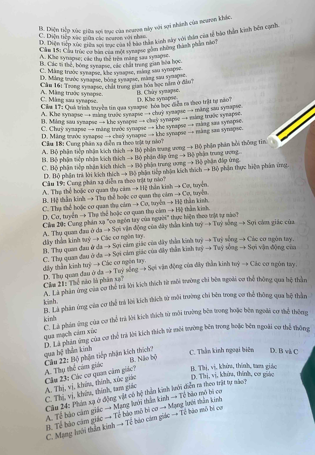 B. Diện tiếp xúc giữa sợi trục của neuron này với sợi nhánh của neuron khác.
C. Diện tiếp xúc giữa các neuron với nhau. D. Diện tiếp xúc giữa sợi trục của tế bào thần kinh này với thân của tế bào thần kình bên cạnh.
Câu 15: Cầu trúc cơ bản của một synapse gồm những thành phần nào?
A. Khe synapse; các thu thể trên màng sau synapse.
B. Các tí thể, bóng synapse, các chất trung gian hóa học.
C. Màng trước synapse, khe synapse, màng sau synapse.
D. Màng trước synapse, bóng synapse, màng sau synapse.
Câu 16: Trong synapse, chất trung gian hóa học nằm ở đầu?
A. Màng trước synapse.
B. Chùy synapse.
C. Màng sau synapse.
D. Khe synapse.
Câu 17: Quá trình truyền tin qua synapse hóa học diễn ra theo trật tự nào?
A. Khe synapse → màng trước synapse → chuỳ synapse → màng sau synapse.
B. Màng sau synapse → khe synapse → chuỳ synapse → màng trước synapse.
C. Chuỳ synapse → màng trước synapse → khe synapse → màng sau synapse.
D. Màng trước synapse → chuy synapse → khe synapse → màng sau synapse.
Câu 18: Cung phản xạ diễn ra theo trật tự nào?
A. Bộ phận tiếp nhận kích thích → Bộ phận trung ương → Bộ phận phản hồi thông tin.
B. Bộ phận tiếp nhận kích thích → Bộ phận đáp ứng → Bộ phận trung ương..
C. Bộ phận tiếp nhận kích thích → Bộ phận trung ương → Bộ phận đáp ứng.
D. Bộ phận trả lời kích thích → Bộ phận tiếp nhận kích thích → Bộ phận thực hiện phản ứng.
Câu 19: Cung phản xạ diễn ra theo trật tự nào?
A. Thụ thể hoặc cơ quan thụ cảm → Hệ thần kinh → Cơ, tuyến.
B. Hệ thần kinh → Thụ thể hoặc cơ quan thụ cảm → Cơ, tuyến.
C. Thụ thể hoặc cơ quan thụ cảm → Cơ, tuyến → Hệ thần kinh.
D. Cơ, tuyển → Thụ thể hoặc cơ quan thụ cảm → Hệ thần kinh.
Câu 20: Cung phản xạ "co ngón tay của người" thực hiện theo trật tự nào?
A. Thụ quan đau ở da → Sợi vận động của dây thần kinh tuỷ → Tuỷ sống → Sợi cảm giác của
dây thần kinh tuỷ → Các cơ ngón tay.
B. Thụ quan đau ở da → Sợi cảm giác của dây thần kinh tuỷ → Tuỷ sống → Các cơ ngón tay.
C. Thụ quan đau ở da → Sợi cảm giác của dây thần kinh tuỷ → Tuý sống → Sợi vận động của
dđây thần kinh tuỷ → Các cơ ngón tay.
D. Thụ quan đau ở da → Tuỷ sống → Sợi vận động của dây thần kinh tuỷ → Các cơ ngón tay.
Câu 21: Thế nào là phản xạ?
A. Là phản ứng của cơ thể trả lời kích thích từ môi trường chi bên ngoài cơ thể thông qua hệ thần
kinh.
B. Là phản ứng của cơ thể trả lời kích thích từ môi trường chỉ bên trong cơ thể thông qua hệ thần
C. Là phản ứng của cơ thể trả lời kích thích từ môi trường bên trong hoặc bên ngoài cơ thể thông
kinh
qua mạch cảm xúc
D. Là phản ứng của cơ thể trả lời kích thích từ môi trường bên trong hoặc bên ngoài cơ thể thông
qua hệ thần kinh
Câu 22: Bộ phận tiếp nhận kích thích?
C. Thần kinh ngoại biên D. B và C
A. Thụ thể cảm giác B. Não bộ
Câu 23: Các cơ quan cảm giác?
B. Thị, vị, khứu, thính, tam giác
A. Thị, vị, khứu, thính, xúc giác
D. Thị, vị, khứu, thính, cơ giác
C. Thị, vị, khứu, thính, tam giác
Câu 24: Phản xạ ở động vật có hệ thần kinh lưới diễn ra theo trật tự nào?
A. Tế bào cảm giác → Mạng lưới thần kinh → Tế bào mô bì cơ
B. Tế bào cảm giác → Tế bào mô bì cơ → Mạng lưới thần kinh
C. Mạng lưới thần kinh → Tế bào cảm giác → Tế bào mô bì cơ