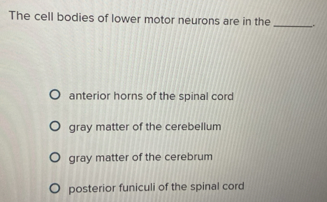 Solved: The cell bodies of lower motor neurons are in the _.. anterior ...